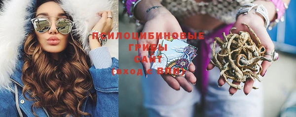 амфетамин Горнозаводск