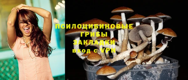 соль курить ск Горно-Алтайск